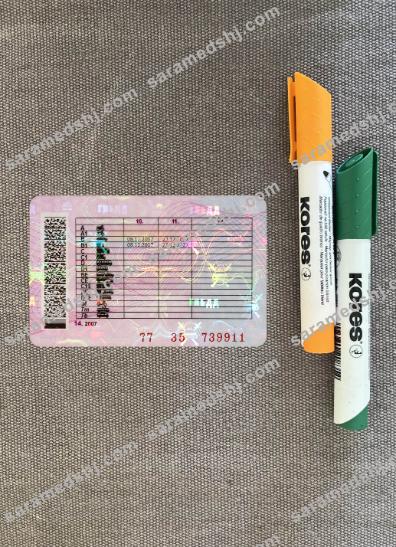 Russia driving license 2020-present photolook back